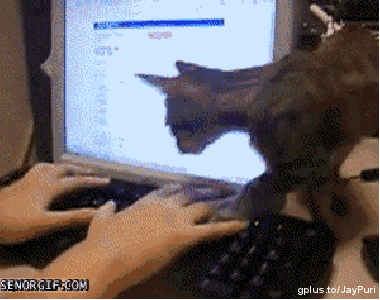 rdcatp11.gif