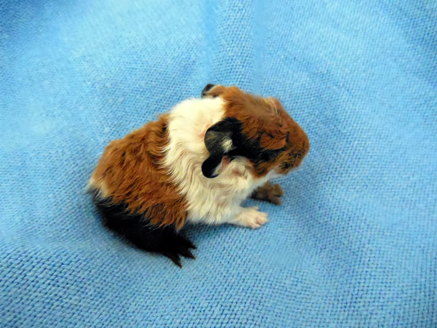 DSCN4385.JPG
